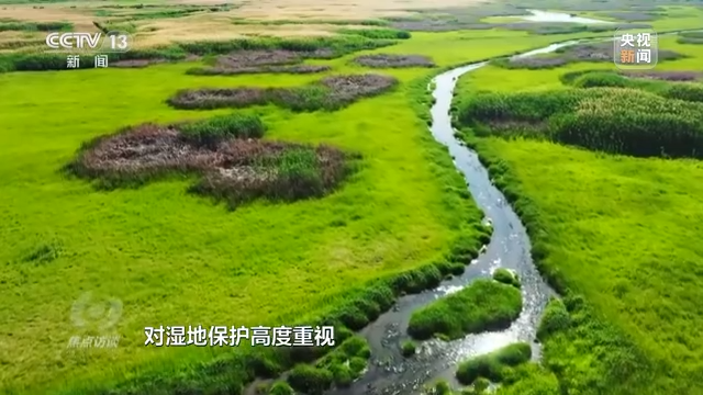 
天津肿瘤医院黄牛代挂号电话票贩子号贩子网上预约挂号,住院检查加快,焦点访谈丨以法为盾 守护湿地