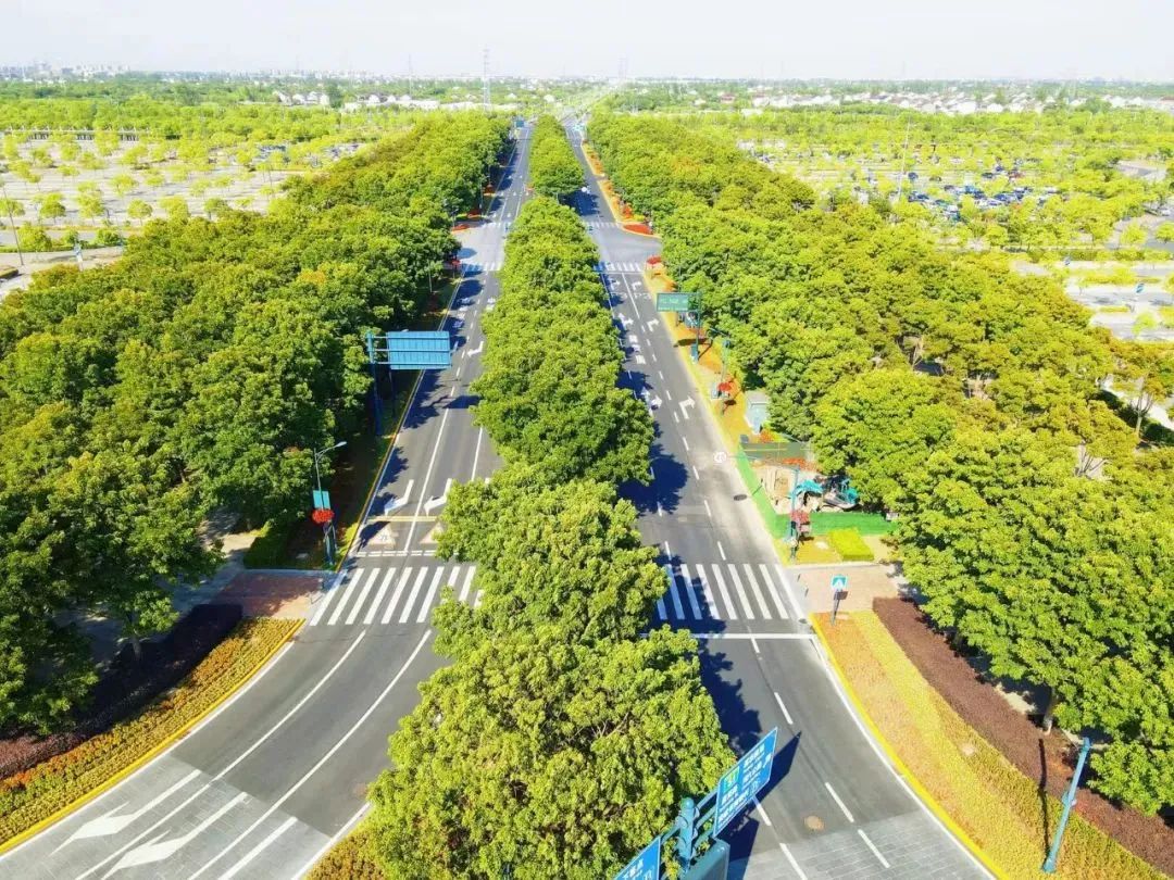 杨浦3条道路验收通过为2022年度精品道路，在你家附近吗？-泛亚电竞