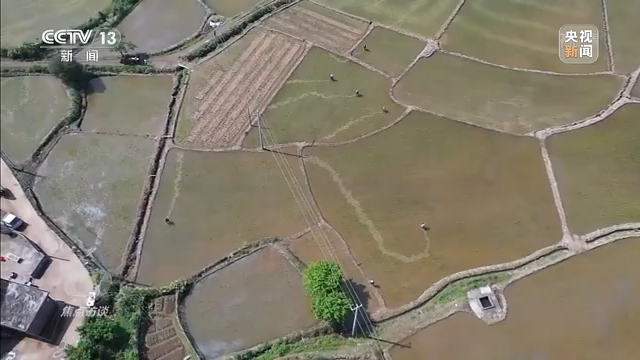 焦点访谈丨秋收时节好“丰”景