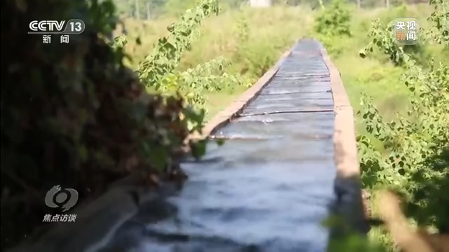 焦点访谈丨秋收时节好“丰”景