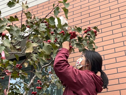 
北京大学第一医院黄牛代挂号电话票贩子号贩子网上预约挂号,住院检查加快,探索“五育融合”，提升劳动素养！宝山学生走出课堂体验劳动之美