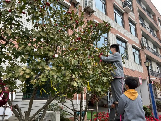 
北京大学第一医院黄牛代挂号电话票贩子号贩子网上预约挂号,住院检查加快,探索“五育融合”，提升劳动素养！宝山学生走出课堂体验劳动之美