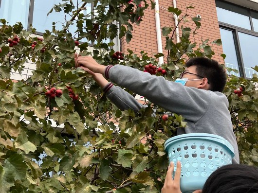 
北京大学第一医院黄牛代挂号电话票贩子号贩子网上预约挂号,住院检查加快,探索“五育融合”，提升劳动素养！宝山学生走出课堂体验劳动之美