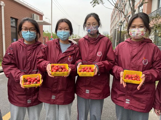 
北京大学第一医院黄牛代挂号电话票贩子号贩子网上预约挂号,住院检查加快,探索“五育融合”，提升劳动素养！宝山学生走出课堂体验劳动之美