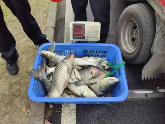 
空军特色医学中心黄牛代挂号电话票贩子号贩子网上预约挂号,住院检查加快,非法电捕鱼？宝山警方：抓！