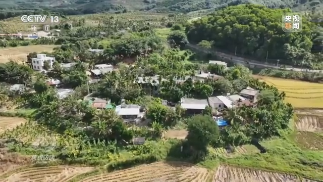 
中山大学孙逸仙纪念医院黄牛代挂号电话票贩子号贩子网上预约挂号,住院检查加快,焦点访谈丨乡村振兴 全面推进——新征程上