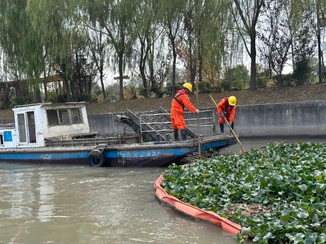 
上海华山医院黄牛代挂号电话票贩子号贩子网上预约挂号,住院检查加快,河道保洁不停歇 金山全力守护碧水清波