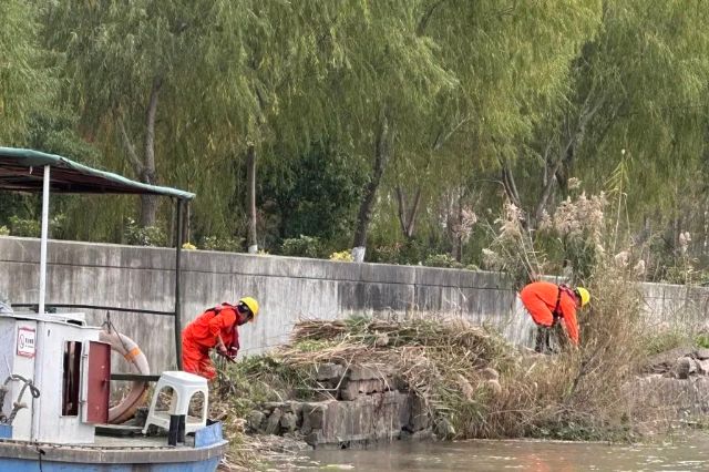 
上海华山医院黄牛代挂号电话票贩子号贩子网上预约挂号,住院检查加快,河道保洁不停歇 金山全力守护碧水清波