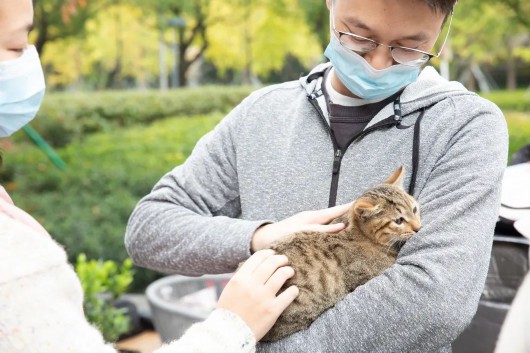 
北京儿研所黄牛代挂号电话票贩子号贩子网上预约挂号,住院检查加快,当萌宠遇见星巴克，一大波“小可爱”找到新家！