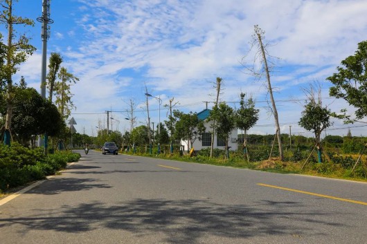 
杭州市第一人民医院黄牛代挂号电话票贩子号贩子网上预约挂号,住院检查加快,使狠劲、动真格、出实招！练塘镇人居环境整治不停歇，内外兼修塑“颜值”