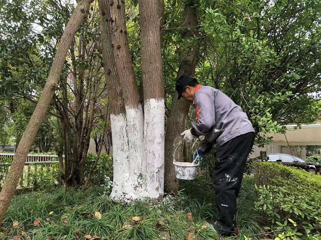 
西安各大医院黄牛代挂号电话票贩子号贩子网上预约挂号,住院检查加快,气温“断崖式”下降，沪郊金山这个镇多措并举应对寒潮