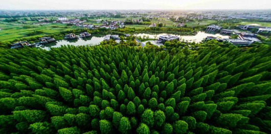 
北京中医院黄牛代挂号电话票贩子号贩子网上预约挂号,住院检查加快,崇明争创上海首个“中国天然氧吧”