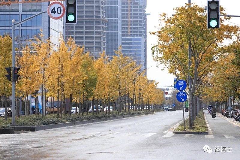 
中山大学中山眼科中心黄牛代挂号电话票贩子号贩子网上预约挂号,住院检查加快,2022年度上海市绿化特色道路公示 有你家附近的吗