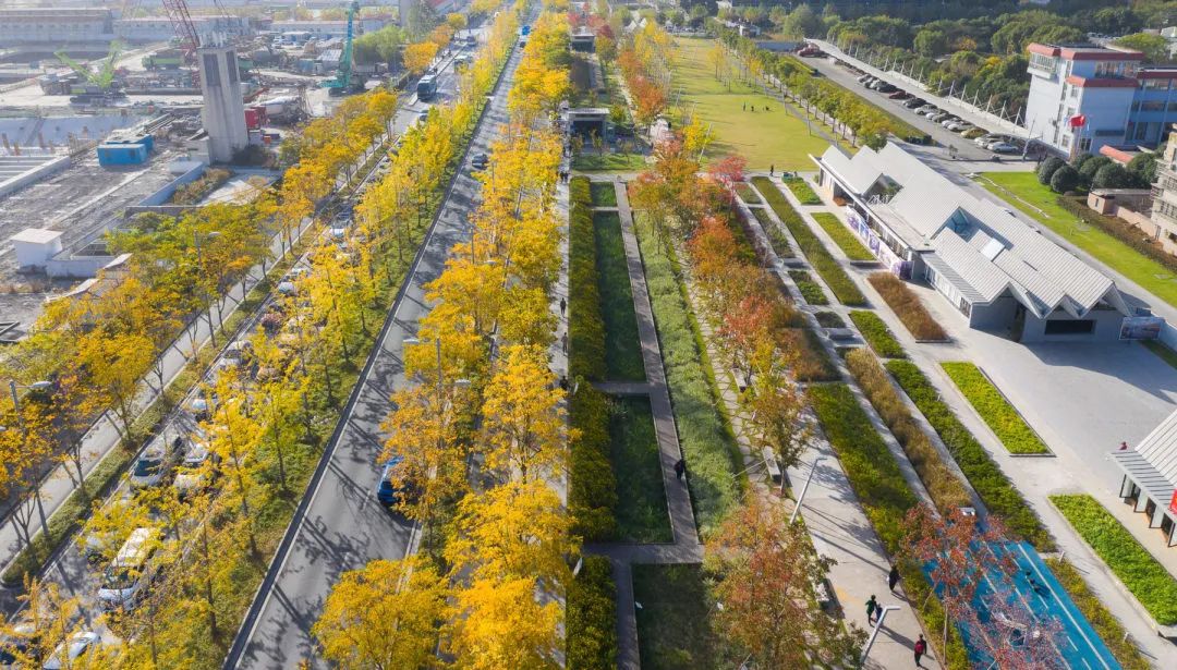 入选跑道公园.jpg 图片