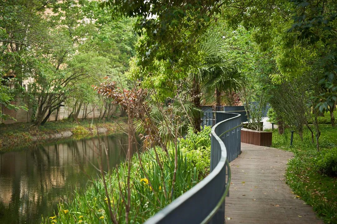 滨水步道.jpg 图片