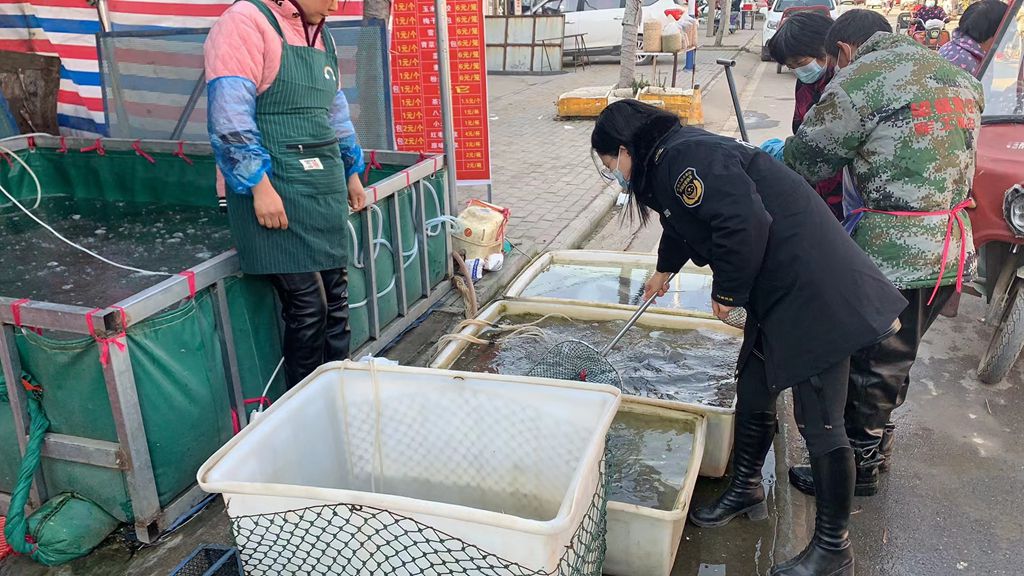 
北京大学第三医院黄牛代挂号电话票贩子号贩子网上预约挂号,住院检查加快,安徽省临泉县市场监管局庙岔所开展排查鲈鱼白点病工作