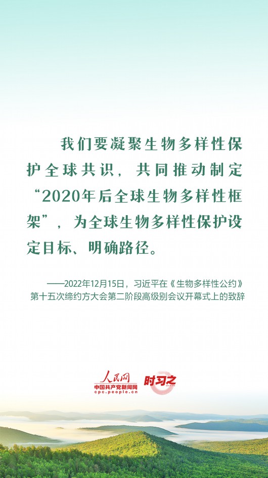 
北京西苑医院黄牛代挂号电话票贩子号贩子网上预约挂号,住院检查加快,推动全球生物多样性治理迈上新台阶 习近平提出四点中国倡议