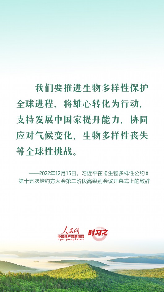 
北京西苑医院黄牛代挂号电话票贩子号贩子网上预约挂号,住院检查加快,推动全球生物多样性治理迈上新台阶 习近平提出四点中国倡议