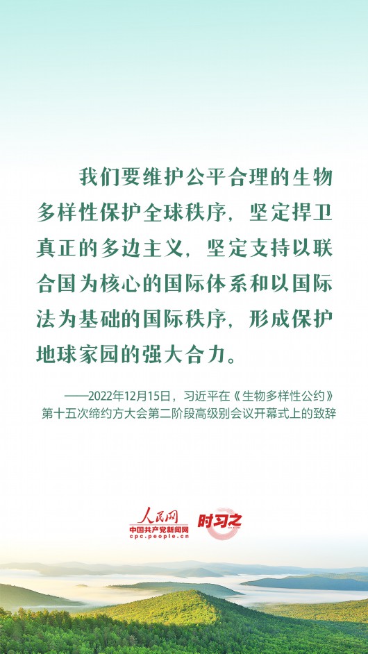 
北京西苑医院黄牛代挂号电话票贩子号贩子网上预约挂号,住院检查加快,推动全球生物多样性治理迈上新台阶 习近平提出四点中国倡议