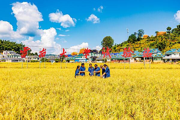 
北京阜外医院黄牛代挂号电话票贩子号贩子网上预约挂号,住院检查加快,《科学》杂志评出2022年十大科学突破 韦布空间望远镜居首 我国多年生水稻入选