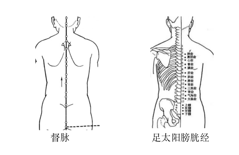 
北京大学第三医院黄牛代挂号电话票贩子号贩子网上预约挂号,住院检查加快,科普｜阳了后感到“头痛、快炸了”？这里有五招中医疗法