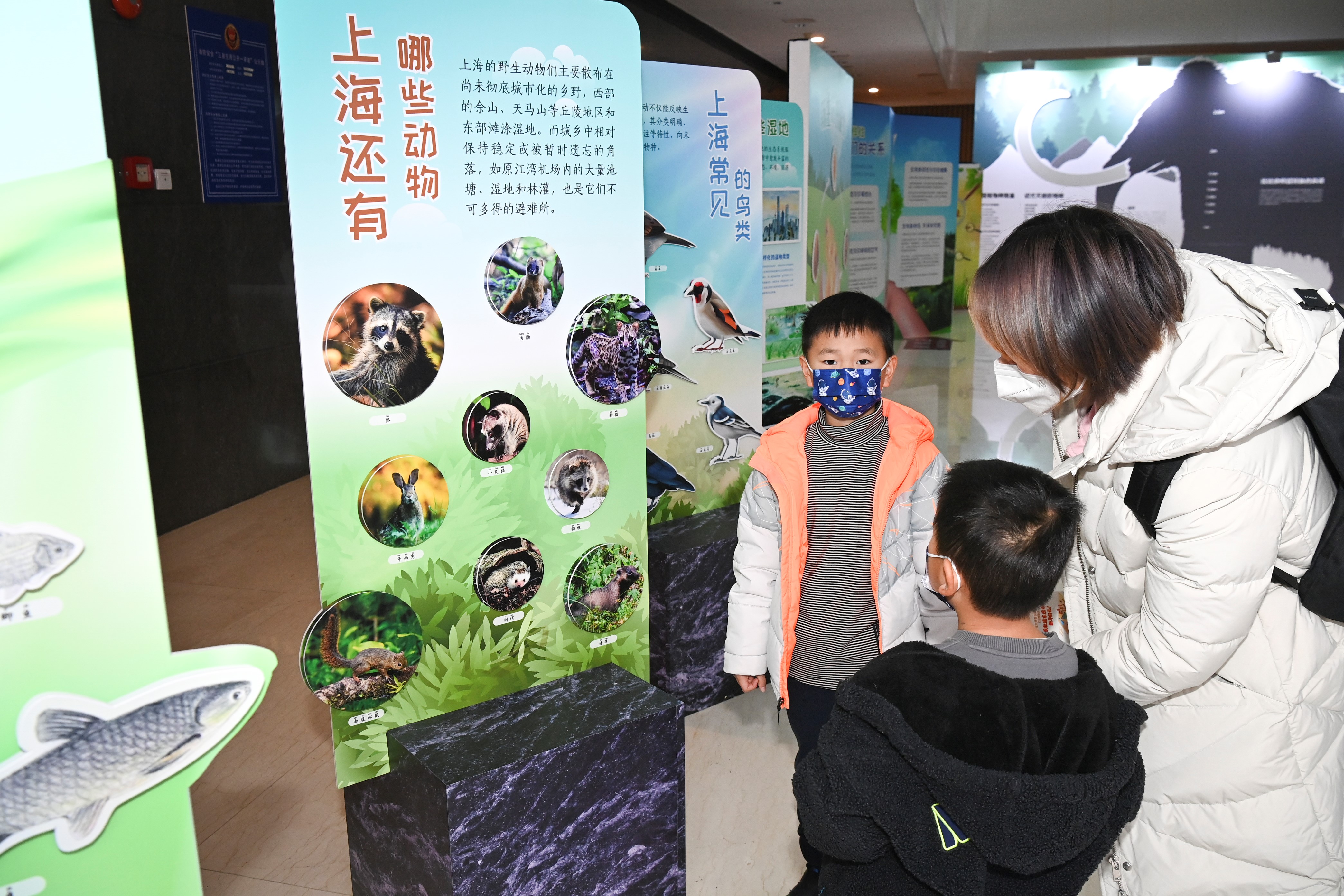 
北京大学第六医院黄牛代挂号电话票贩子号贩子网上预约挂号,住院检查加快,关注生态文明，争当典范少年——浦东新区开展未成年人新时代文明实践活动