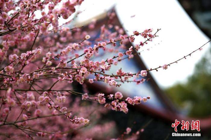 
上海肿瘤医院黄牛代挂号电话票贩子号贩子网上预约挂号,住院检查加快,今日小寒｜光阴流转，年味渐浓！