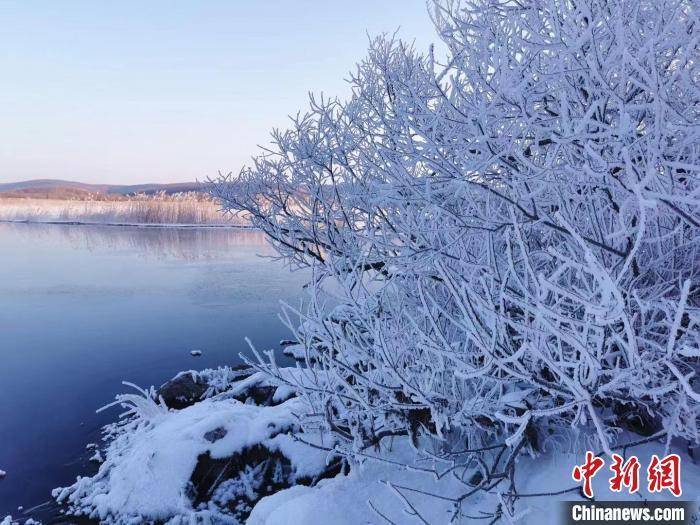 
上海肿瘤医院黄牛代挂号电话票贩子号贩子网上预约挂号,住院检查加快,今日小寒｜光阴流转，年味渐浓！