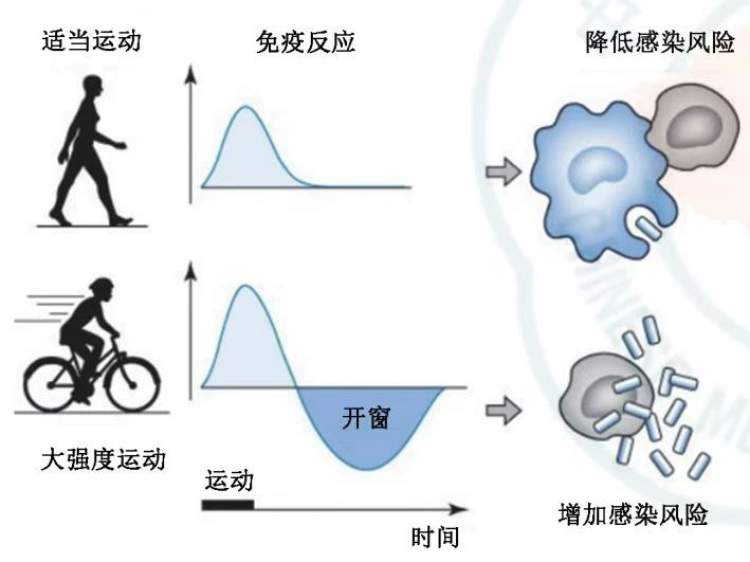 
天津血液研究所黄牛代挂号电话票贩子号贩子网上预约挂号,住院检查加快,“微出汗”系列报道 | 阳康后，恢复运动的“金标准”