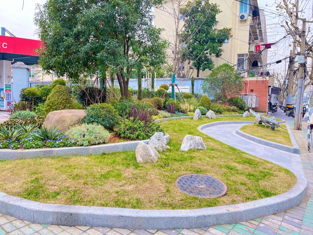 IMG_E7815.JPG 图片