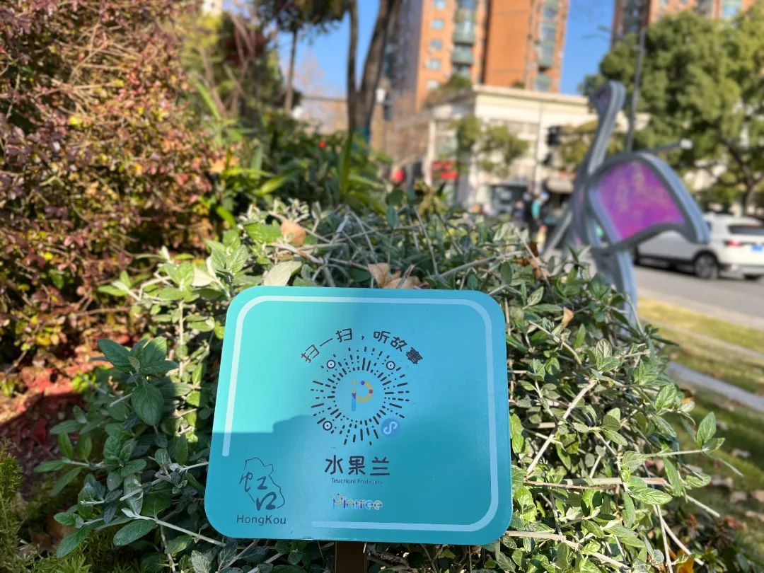 IMG_E7863.JPG 图片