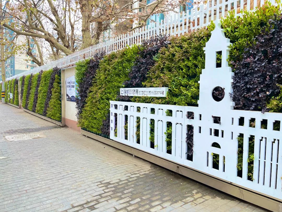 IMG_E7821.JPG 图片