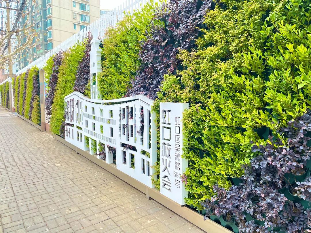 IMG_E7824.JPG 图片