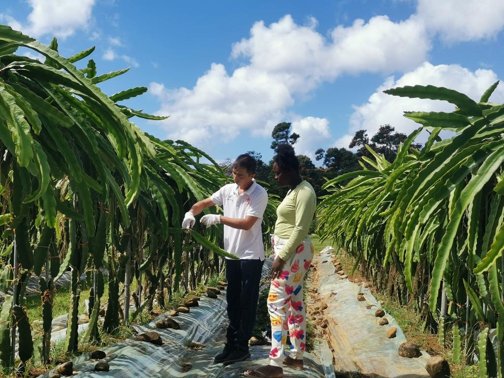 
广州中医院黄牛代挂号电话票贩子号贩子网上预约挂号,住院检查加快,元首外交丨当“拉美味道”遇上“中国机遇”——中拉命运共同体之船扬帆远航