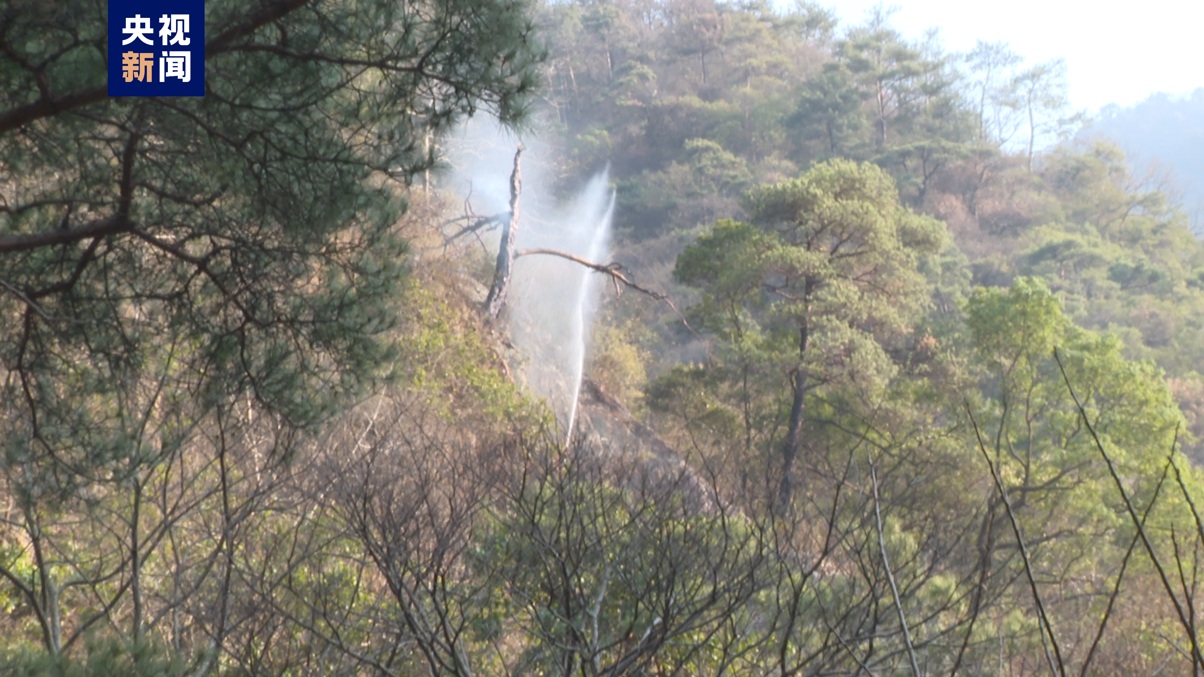 
江苏省中医院黄牛代挂号电话票贩子号贩子网上预约挂号,住院检查加快,广西兴安县溶江镇山火明火已扑灭，犯罪嫌疑人被抓获