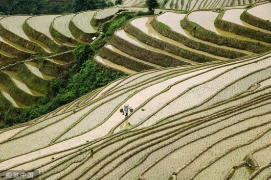 
中山一院黄牛代挂号电话票贩子号贩子网上预约挂号,住院检查加快,【节气】今日立春