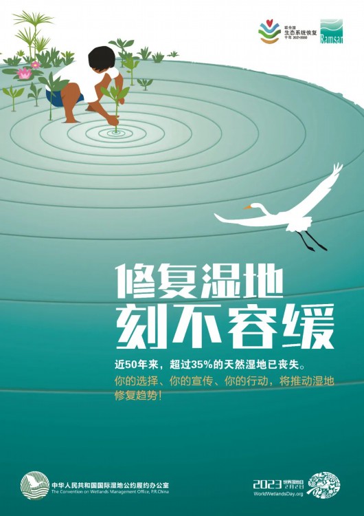 
上海仁济医院黄牛代挂号电话票贩子号贩子网上预约挂号,住院检查加快,青浦湿地修复成效明显，成为候鸟越冬天堂