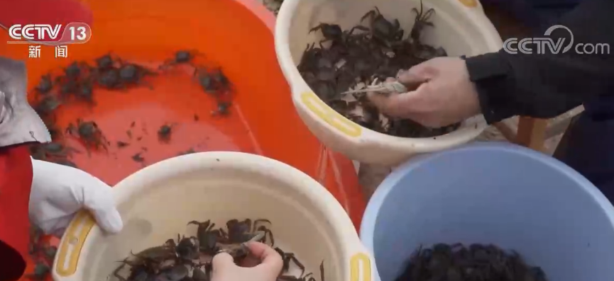 
长沙各大医院黄牛代挂号电话票贩子号贩子网上预约挂号,住院检查加快,江西鄱阳开启水上春耕 蟹农投放蟹苗忙