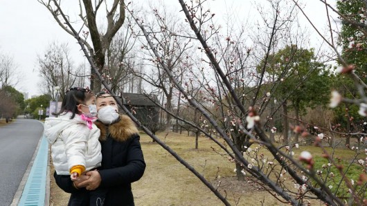 
北京广安门中医院黄牛代挂号电话票贩子号贩子网上预约挂号,住院检查加快,带来春暖的讯息！顾村公园梅花初绽