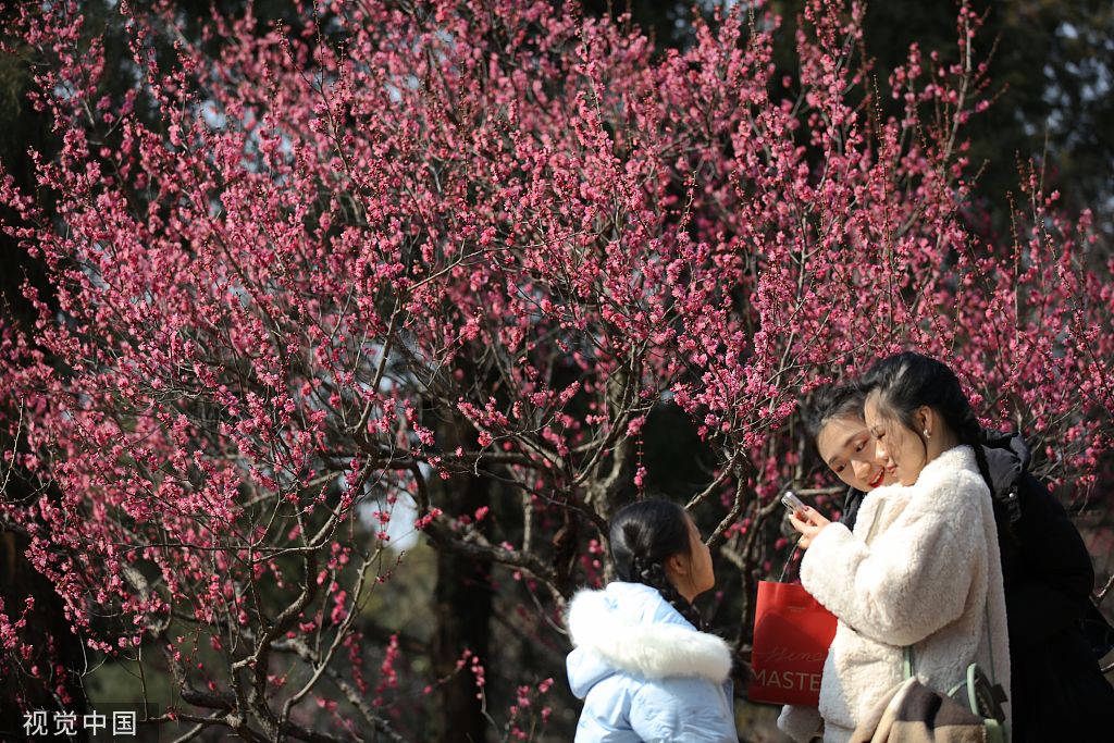 
中国中医科学院广安门医院黄牛代挂号电话票贩子号贩子网上预约挂号,住院检查加快,中国气象局：全国大部2月11日前气温偏高，之后冷空气势力加强