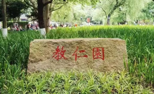 
东部战区总医院黄牛代挂号电话票贩子号贩子网上预约挂号,住院检查加快,静安古树阅览室第四篇：六个树种汇聚一园，闸北公园有个“古树大家庭”