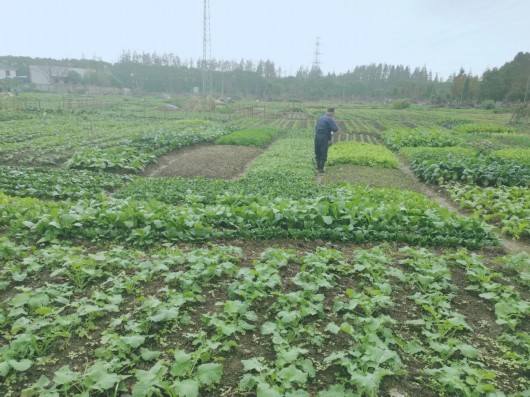 
杭州市妇幼保健院黄牛代挂号电话票贩子号贩子网上预约挂号,住院检查加快,探秘良渚文化，奉贤“资历最老”的市级文保单位要开“个展”啦