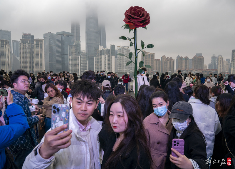 
天津眼科医院黄牛代挂号电话票贩子号贩子网上预约挂号,住院检查加快,排队一小时：打卡外滩巨型玫瑰 留下浪漫瞬间