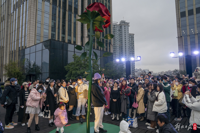 
天津眼科医院黄牛代挂号电话票贩子号贩子网上预约挂号,住院检查加快,排队一小时：打卡外滩巨型玫瑰 留下浪漫瞬间