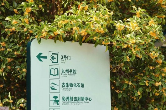 
广州口腔医院黄牛代挂号电话票贩子号贩子网上预约挂号,住院检查加快,宝山区顾村公园的花样打开方式，赶快收藏！