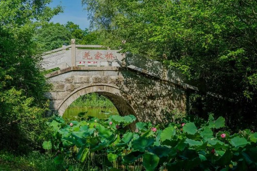 
广州口腔医院黄牛代挂号电话票贩子号贩子网上预约挂号,住院检查加快,宝山区顾村公园的花样打开方式，赶快收藏！