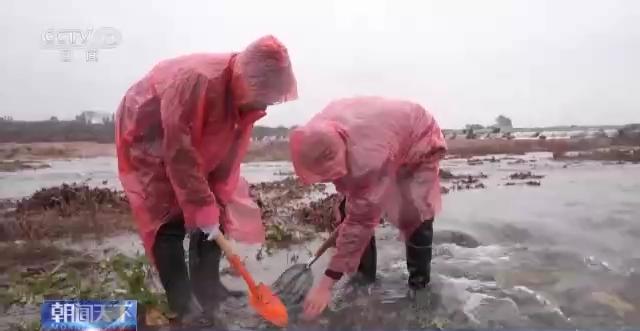 
博爱医院黄牛代挂号电话票贩子号贩子网上预约挂号,住院检查加快,一线调研 实干见闻丨新墙河变化的背后