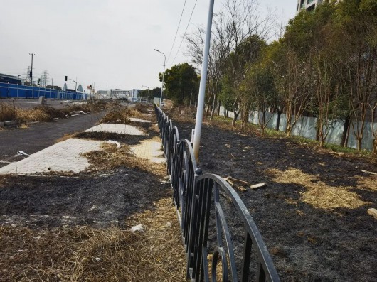 
上海各大医院黄牛代挂号电话票贩子号贩子网上预约挂号,住院检查加快,罚款500！ 奉贤一老“玩”童玩打火机致绿化带起火......