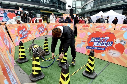 
首都医科大学附属儿童医院黄牛代挂号电话票贩子号贩子网上预约挂号,住院检查加快,T台选美，障碍赛道……这里打造了一场专属于TA们的活动！