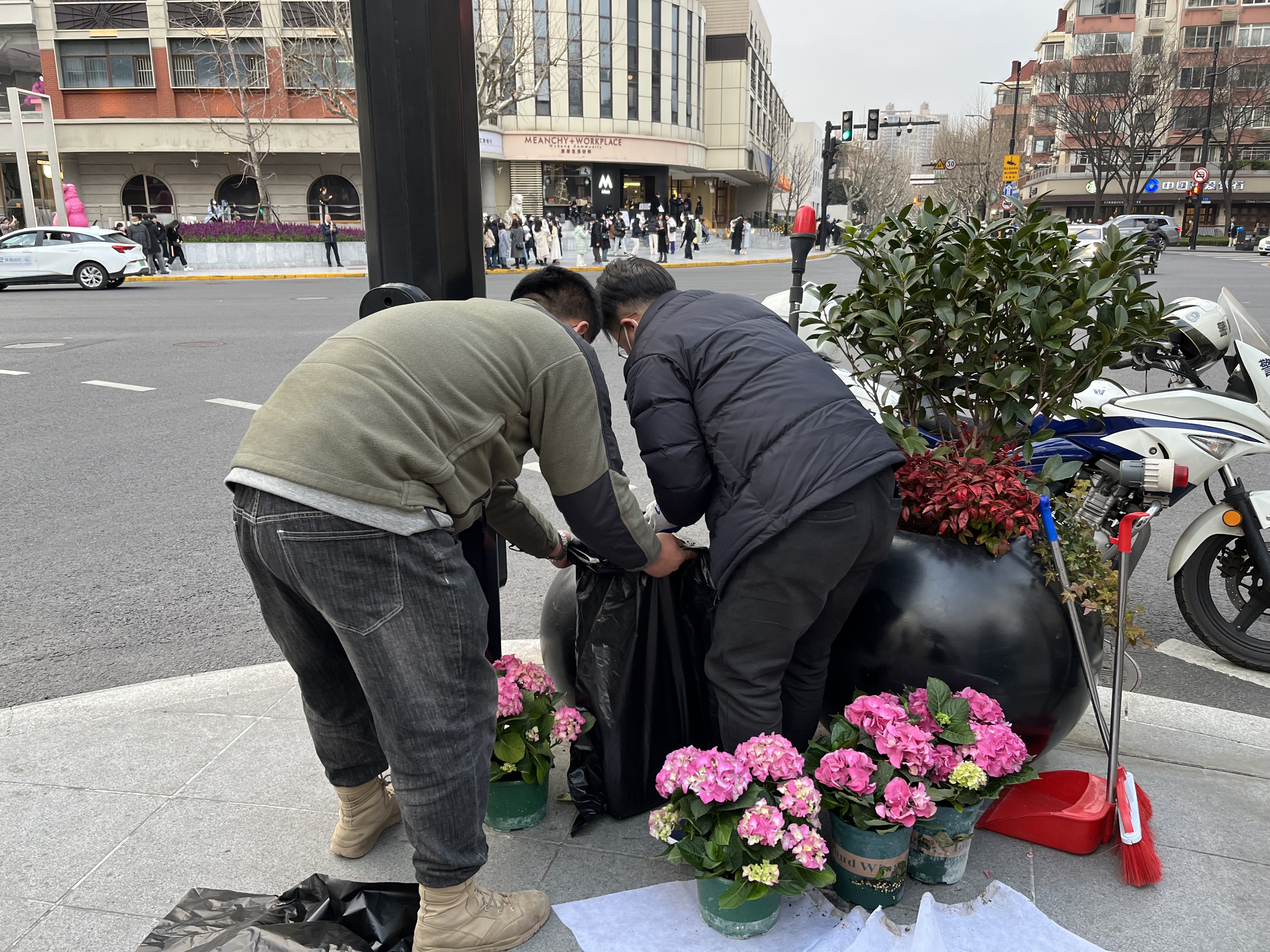 
上海肺科医院黄牛代挂号电话票贩子号贩子网上预约挂号,住院检查加快,还准备去武康大楼排队围观“网红”郁金香？已经换成绣球啦